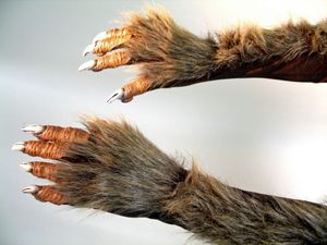Horror Hands