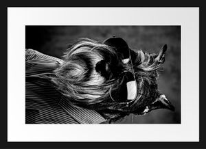 Lustiger Hund mit Hemd und Sonnenbrille, MonochromeBilderrahmen mit Galerie-Passepartout / Format: 55x40cm / gerahmt / hochwertige Leinwandbild Alternative