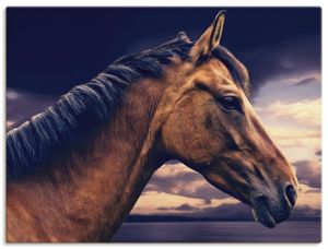 günstig online Pferde Bilder kaufen