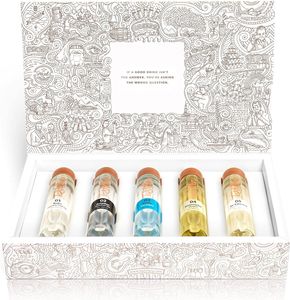 Tastillery Gin Tasting Probierset “Gin Weltreise” in Geschenkbox (5 x 50ml)