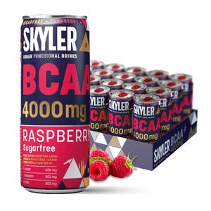 SKYLER BCAA Drink Raspberry 24 x 330ml Dose