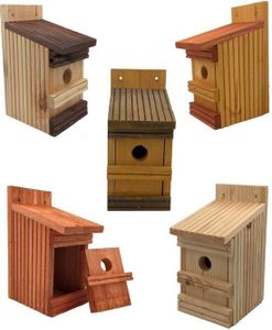 GARDEN SPIRIT 5er Set Vogelhaus Nestkasten in bunten Farben für kleine Vögel,, einfach zu reinigen
