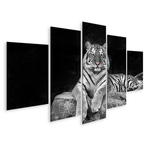 Bild auf Leinwand Weiße Tiger  Wandbild Leinwandbild Wand Bilder Poster 170x80cm 5-teilig