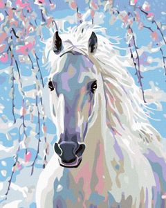 Zuty - Malování podle čísel - BÍLÝ KŮŇ, 40x50 cm, bez rámu a bez vypnutí plátna