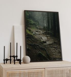 Poster Steiniger Waldweg, groesse_poster:40x50 cm, groesse_rahmen:schwarz 40x50 cm