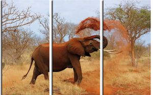 Elefanten Poster Leinwandbild Auf Keilrahmen - Afrikanischer Elefant Nimmt Eine Sanddusche (120 x 180 cm)