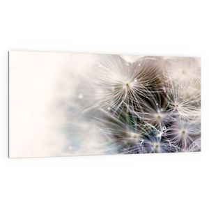 DEQORI Küchenrückwand Glas 100x50 cm 'Detailaufnahme Pusteblume' Spritzschutz Bad Rückwand