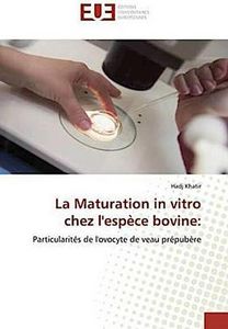 La Maturation in vitro chez l'espèce bovine: