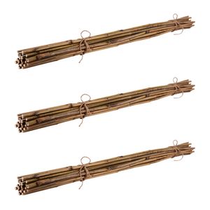 75 Stück Bambusstäbe, Rankstäbe, Pflanzenstäbe aus Bambus 120 cm naturfarbend