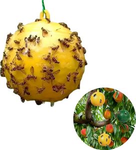 6er Pack - Klebrige Fliegenfalle, hängende Kugel - BUGIORB