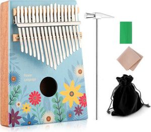 Kalimba Mbira Daumen Finger Klavier tragbar 17 Tasten Massivholz Musikinstrument Geschenk für Musikliebhaber Anfänger,Gemalte Blumen