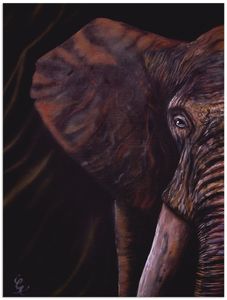 ARTland Wandbild Alu für Innen & Outdoor Elefant Größe: 60x80 cm