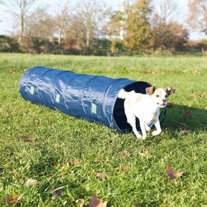 Trixie Agility Tunnel für kleine Hunde / Welpen