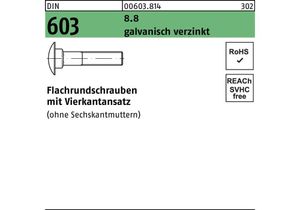 Flachrundschraube DIN 603 m.Vierkantansatz M 16 x 50 8.8 galvanisch verzinkt