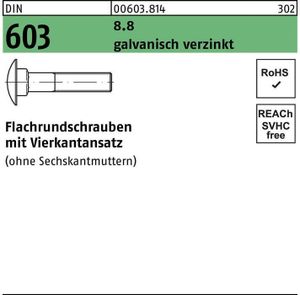 Flachrundschraube DIN 603 m.Vierkantansatz M 16 x 50 8.8 galvanisch verzinkt