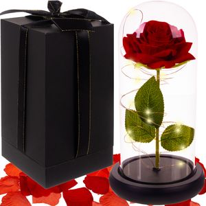 Ewige Rose im Glas LED-Licht Geschenkbox Edles Präsent Muttertag Geburtstag Valentinstag 21619