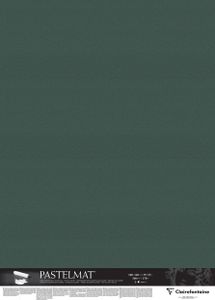 Clairefontaine Papier für Pastellmalerei, 5 Bogen 100x140 cm, Dunkelgrün 396175C