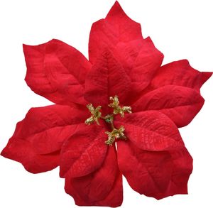 Weihnachtsstern Samt - Blume auf Clip 16cm rot