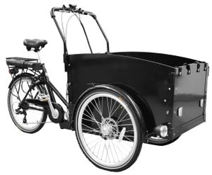 SachsenRAD E-Lastenrad T1, Flexible Transportbox mit Versteckter,Abschließbarer Box mit LCD Display und StVZO-Zugelassung für Kindertransport, usw.
