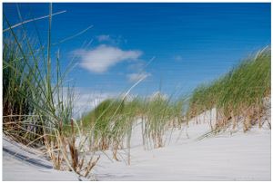 Wallario Aluverbundbild Düne am Strand unter blauem Himmel - 60 x 90 cm