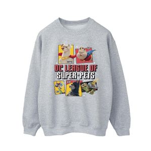 DC Comics - "DC League Of Super-Pets Profile" Sweatshirt für Herren BI21844 (XL) (Grau)