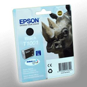 Epson T1001 / C13T10014010 Tinte schwarz