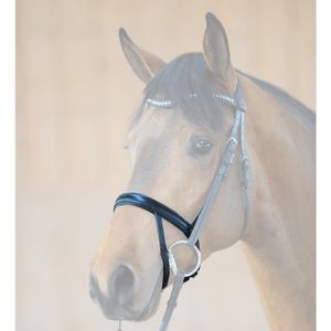 KAVALKADE Reithalfter IR, schwarz, Warmblut