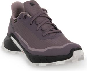 Salomon Schuhe Alphacross 5 Gtx, 473110