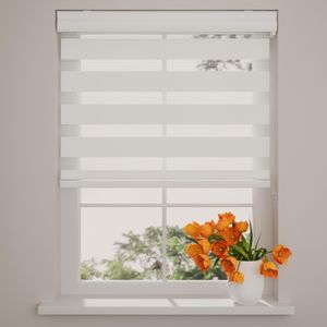 Radeco® Doppelrollo mit Kassette 95 x 175 cm (BxH) schneeweiß, Blickdicht oder Transparent, ohne Bohren möglich, Doppelrollo Wandmontage, Kassettenrollo