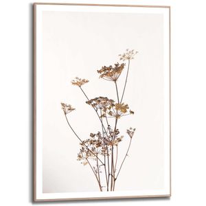 Gerahmtes Bild Slim Frame Bärenklau Natur - Pflanz - Getrocknet - Blumen