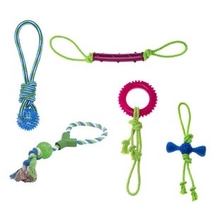 Comfy Dynamische und Robuste Spielzeugkollektion für Hunde - Set 18 (ROBBI CANDY BLUE, STAVE BALL, ROBBI STICK VIO, ZIBI CORD HANDLE, ROBBI RING PINK)