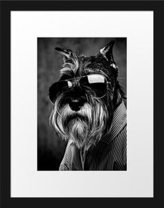Lustiger Hund mit Hemd und Sonnenbrille, MonochromeBilderrahmen mit Galerie-Passepartout / Format: 38x30cm / gerahmt / hochwertige Leinwandbild Alternative