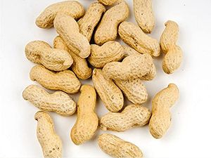 Erdnüsse in der Schale/ geröstet / 100 % naturlich/ Vegan 1kg