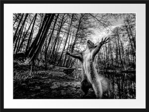 Lustiges Eichhörnchen steht im Wald, MonochromeBilderrahmen mit Galerie-Passepartout / Format: 80x60cm / gerahmt / hochwertige Leinwandbild Alternative