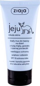 Ziaja, Jeju Młoda skóra, Biały Mus do twarzy, 50 ml - Długi termin ważności!