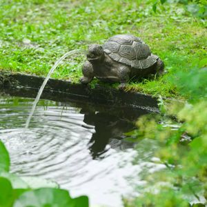Prolenta Premium Ubbink Wasserspeier Schildkröte