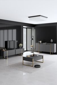 Skye Decor, Luxe - antracit, zlatá, obývací pokoj, nábytková sestava do obývacího pokoje, antracit, 160 x 80 x 35 cm Skye Decor, Luxe - antracit, zlatá, obývací pokoj, nábytková sestava do obývacího pokoje, antracit, 160 x 80 x 35 cm