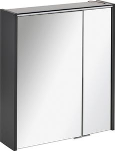 FACKELMANN LED Spiegelschrank DENVER / Badschrank mit gedämpften Scharnieren / Maße (B x H x T): ca. 60 x 68,5 x 16 cm / hochwertiger Schrank mit Spiegel und Beleuchtung fürs Bad / Korpus: Grau