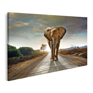günstig Bilder Elefanten kaufen online
