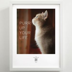 HÖRBAR RELAX Hörbild - I purr for you - "Purr up your life" - Gerahmt - Entspannung durch Klangbilder - Süße Katze vor Fenster und Typografie