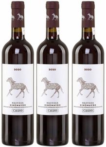 Cavino rot 3x 0,75l Flasche | Trockener Rotwein aus Griechenland | Naoussa | +20ml Jassas Olivenöl