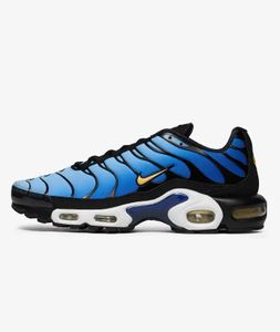 Air Max Plus - Hyper Blue - 41 Air Max Plus - Hyper Blue - 41