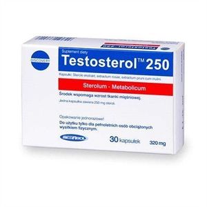 6 x Megabol Testosterol 250 Testo Sterol 30 Caps Hardcore  Pre Workout Supplement