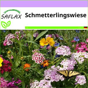 SAFLAX - Wildblumen: Schmetterlingswiese - 1000 Samen - 21 Sorten