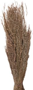 Clayre & Eef 5DF0020 Suszone kwiaty 55 cm (100 gr) Beżowy