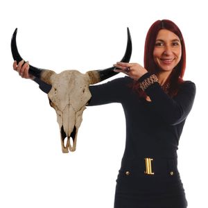 Deco Skull 45cm HWC-T454, Polyresinová trofej s hlavou býka dlouhorohého, vnitřní/venkovní  přírodní barva