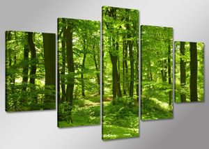 100 x 50 cm Bild auf Leinwand Wald grün 6411-SCT deutsche Marke und Lager  -  Die Bilder / das Wandbild / der Kunstdruck ist fertig gerahmt