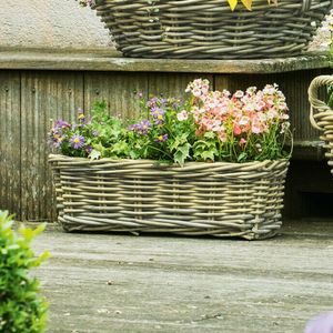 Rattan Pflanzkasten "Koboo Grey" 46 cm lang, grau, Balkonkasten, Blumenkasten für Draußen, Pflanzgefäß