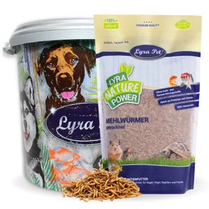 5 kg Lyra Pet® Mehlwürmer getrocknet in 30 L Tonne