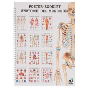 Anatomie des Menschen Mini-Poster Booklet Anatomie 34x24 cm, 12 Poster